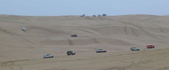 Lines of Cruisers in the back dunes.